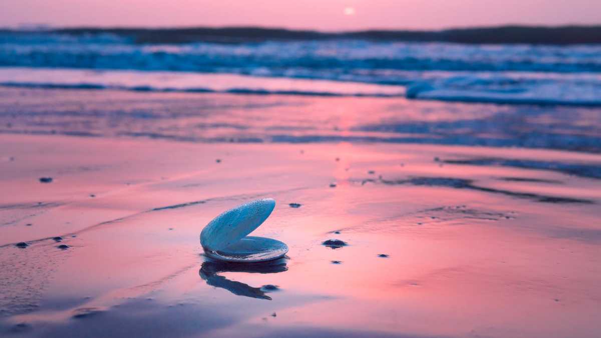 Guida alle spiagge di Lampedusa con fondale basso per famiglie