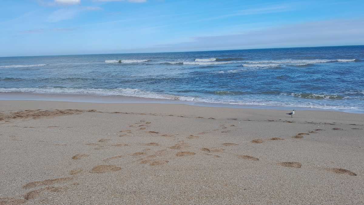 Le spiagge meno affollate di Lampedusa: relax anche in alta stagione