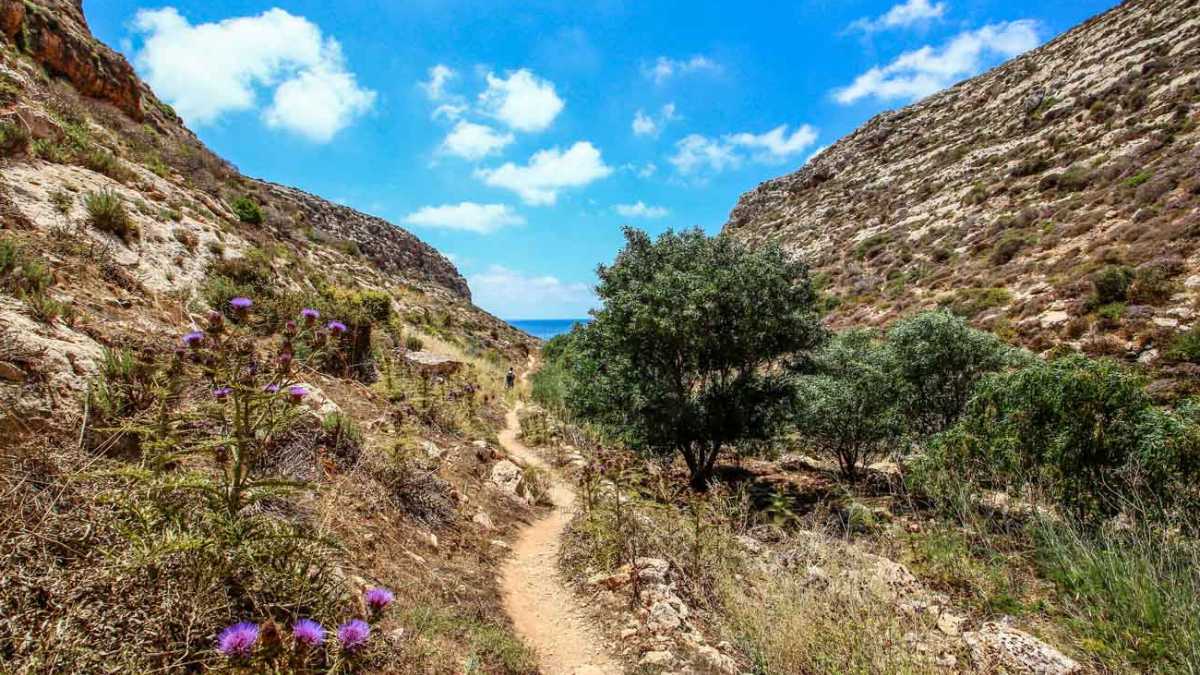 Sentieri della Riserva Naturale di Lampedusa: tracce GPS e difficoltà