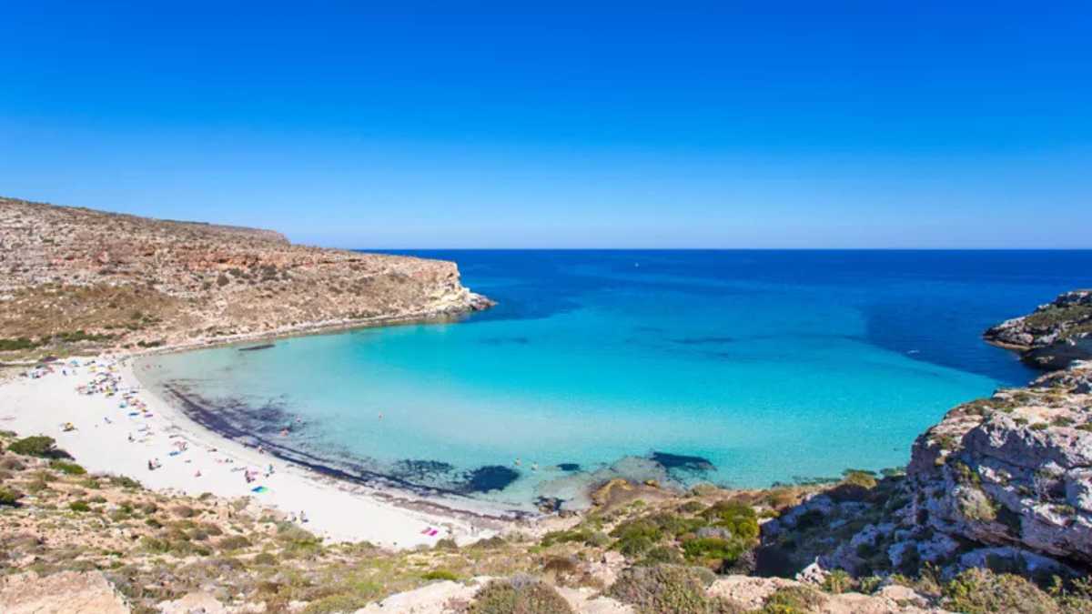 Tartarughe alla Spiaggia dei Conigli di Lampedusa: come e quando vederle